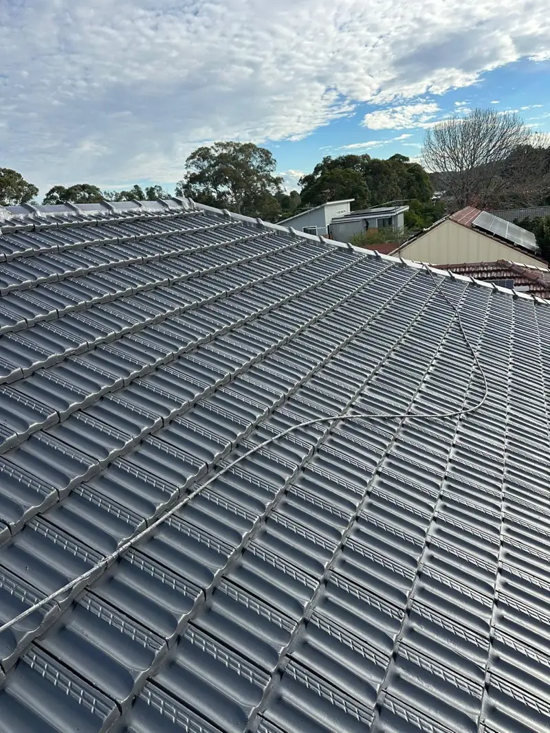 Charcoal tile roof after painting