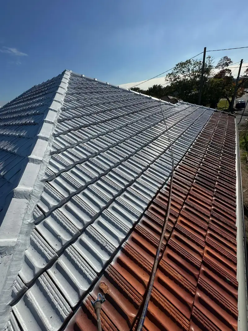 Terracotta tile roof partly coated, showing the old and new surface side by side
