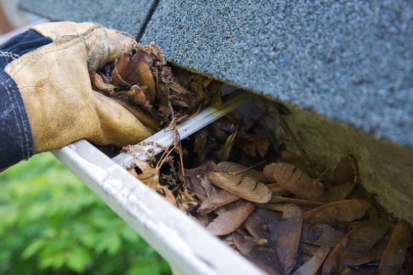 Gutter Installation and Cleaning