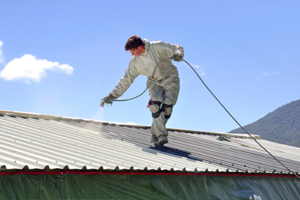 Roof Painting