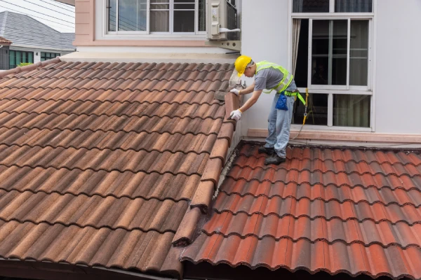 Roof Repointing
