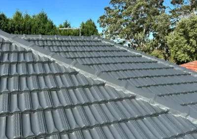 Excellent Roofing Cleaning