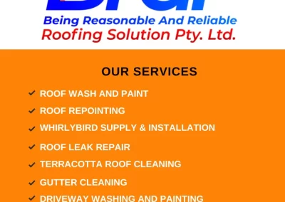 Quality Roof Painting